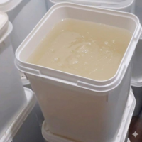 عسل البرسيم الطبيعي الأصلي في مصر