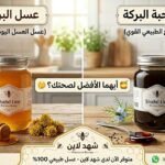 عسل حبة البركة أم عسل البرسيم؟