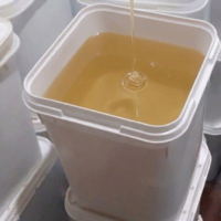 عسل نحل زهرة البرسيم الأصلي في مصر | عسل خام 100% بالجملة من المنحل إليك