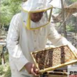 أفضل أنواع العسل المصري للعضلات وزيادة الطاقة قبل وبعد التمرين