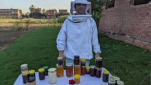 أفضل أنواع العسل في مصر: دليل شامل لاختيار العسل الأصلي وفوائده الصحية وأماكن الشراء الموثوقة