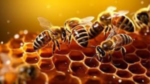 الفرق بين العسل والشهد دليلك الشامل للفوائد والاستخدامات والقيمة الغذائية