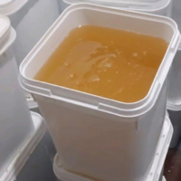 عسل الموالح الخام من شهد لاين: الخيار الذهبي لتجار الجملة والموزعين