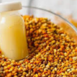 غذاء ملكات النحل: فوائده المذهلة للصحة والجمال والخصوبة وطريقة استخدامه الصحيحة