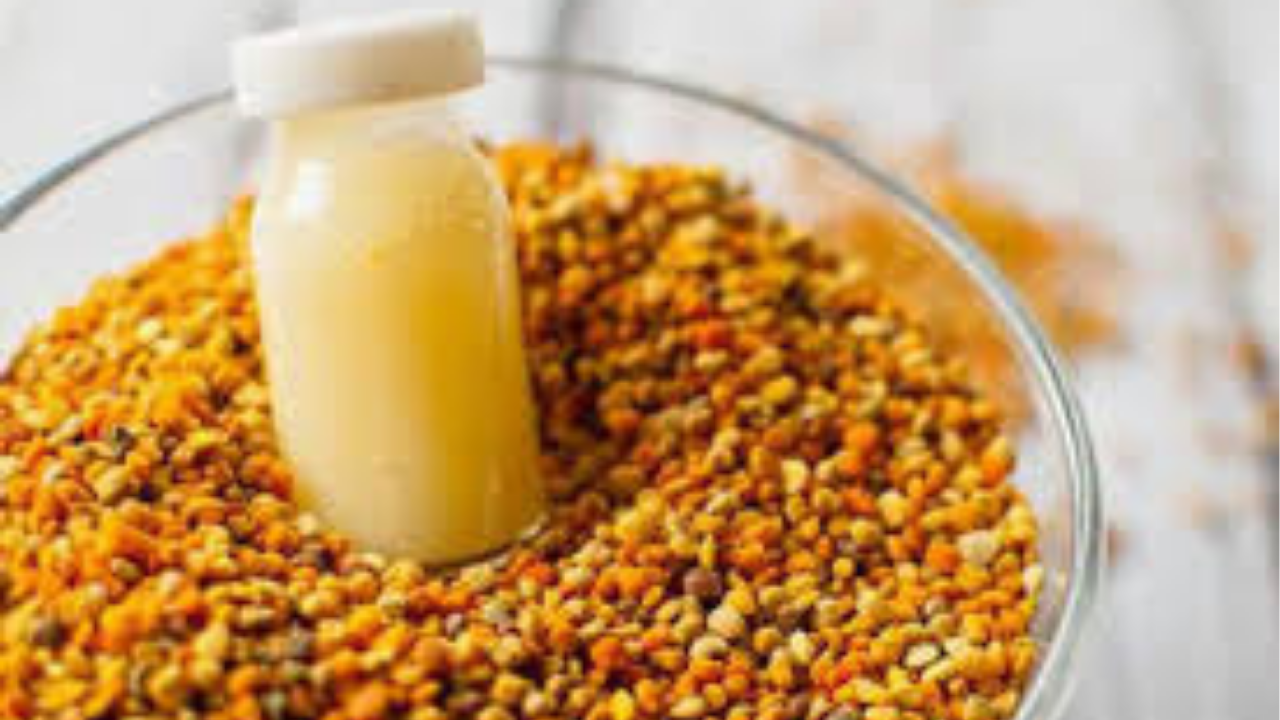 غذاء ملكات النحل: فوائده المذهلة للصحة والجمال والخصوبة وطريقة استخدامه الصحيحة