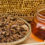 فوائد العكبر (صمغ النحل) المذهلة: الاستخدامات، الجرعات، وأفضل طرق تناوله لتعزيز المناعة والصحة