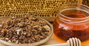 فوائد العكبر (صمغ النحل) المذهلة: الاستخدامات، الجرعات، وأفضل طرق تناوله لتعزيز المناعة والصحة